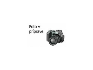 Batéria pre kamery Panasonic VW-VBT190 - 4040 mAh